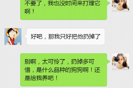 池州池州的要账公司在催收过程中的策略和技巧有哪些？