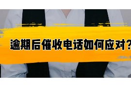 池州为什么选择专业追讨公司来处理您的债务纠纷？